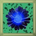 Company Flower